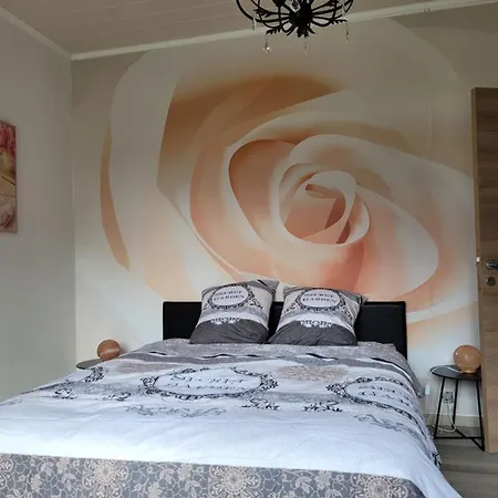 La Maison Des Roses *